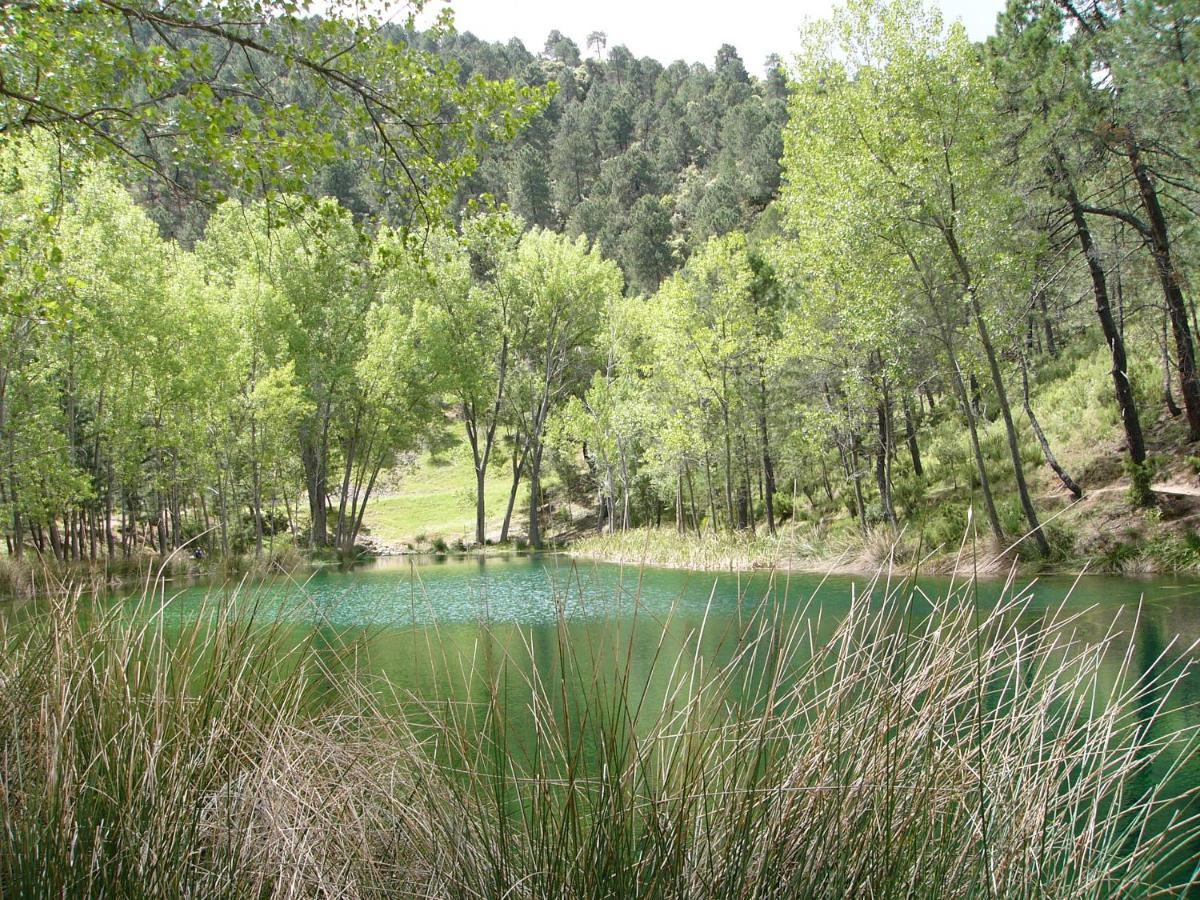 Vila La Encina B Villaverde De Guadalimar Exteriér fotografie